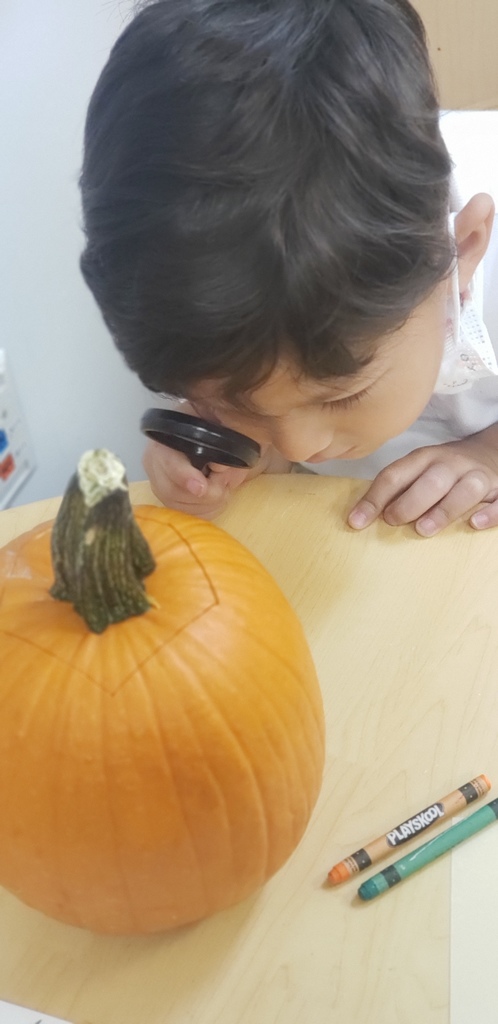 student observing a pumpkin